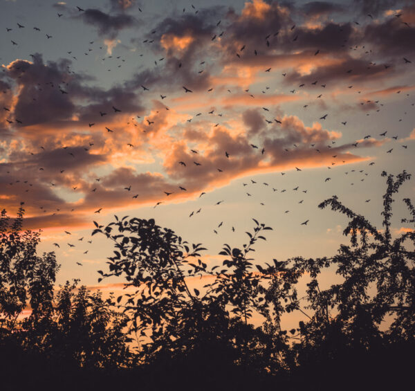 Photo by Aron Visuals sky during nighttime