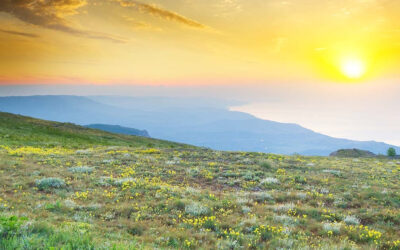 Yoga y el despertar de la consciencia